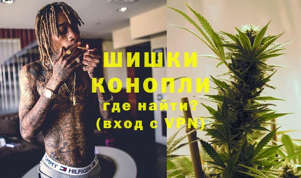 PSILOCYBIN Абдулино