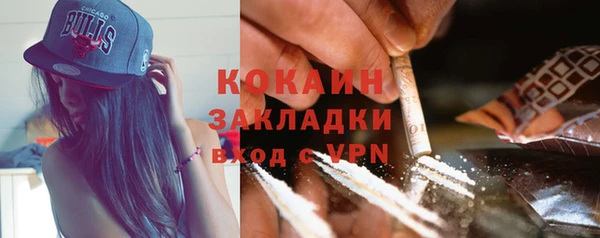 дживик Абинск