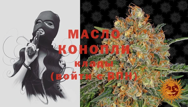 дживик Абинск