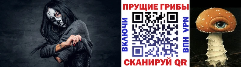 наркота  ссылка на мегу зеркало  Галлюциногенные грибы Psilocybe  Миллерово 